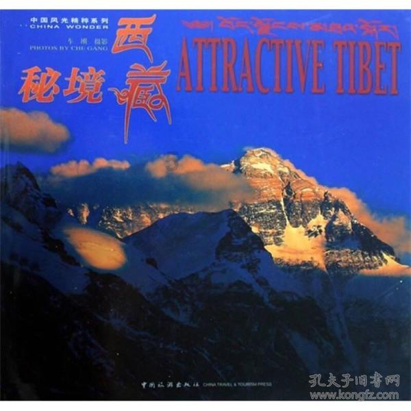 电子书 or 纸质书，你倾向于哪一个？